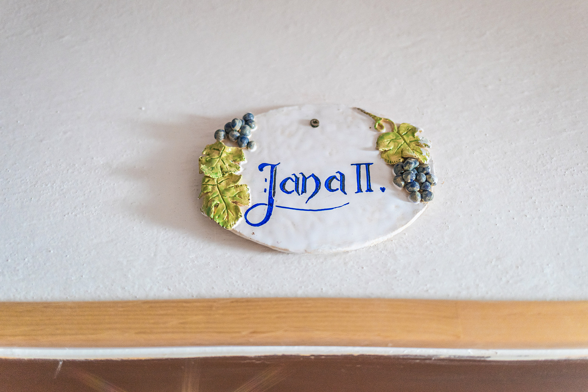 apartmany-a-vinarstvi-u-padaliku-017