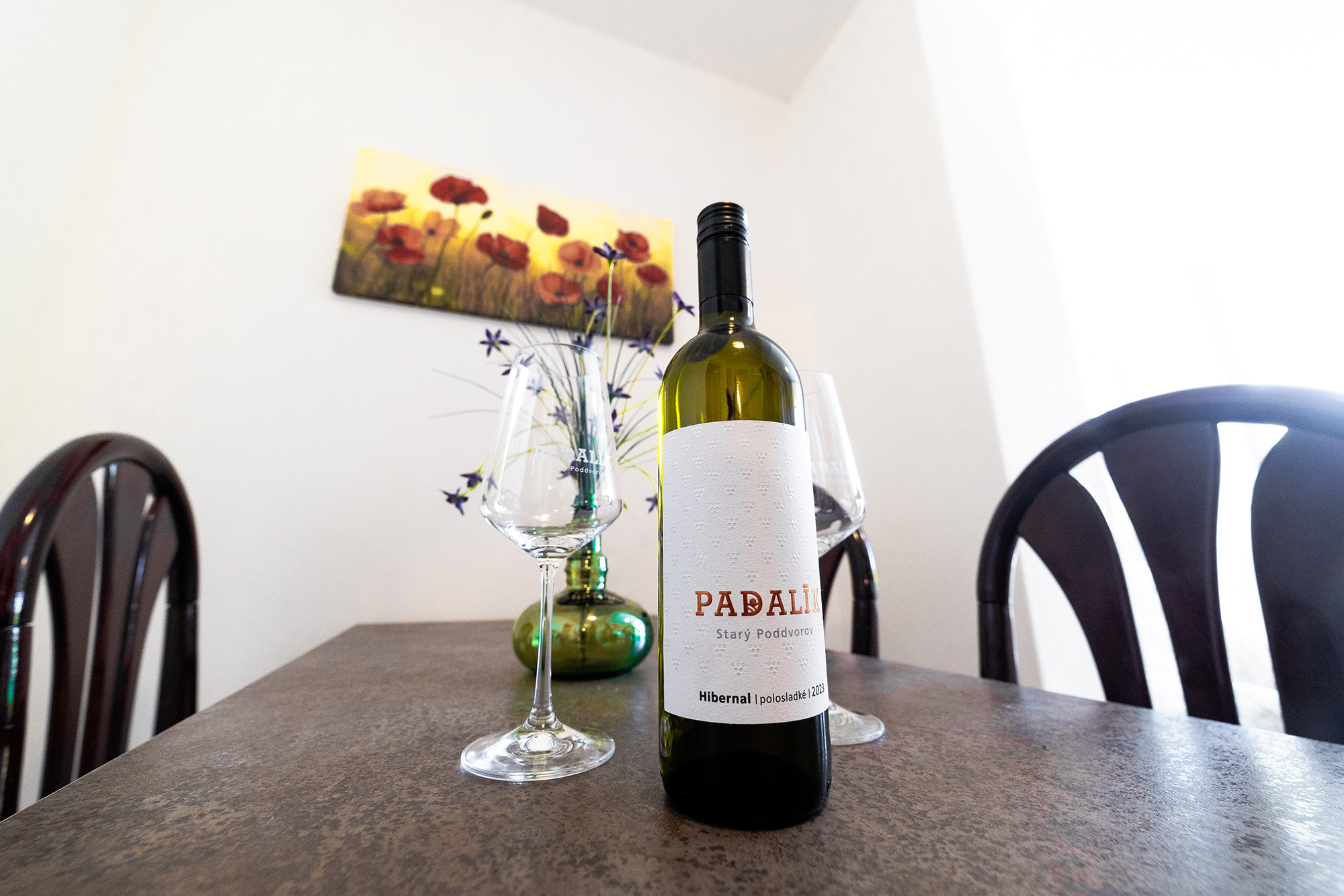 apartmany-a-vinarstvi-u-padaliku-031