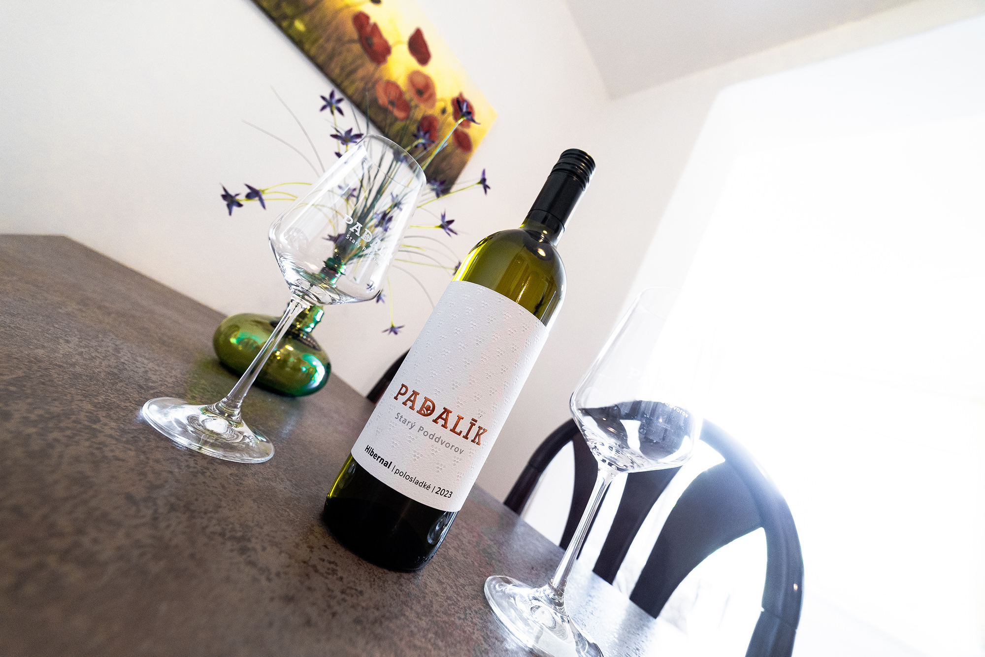 apartmany-a-vinarstvi-u-padaliku-032