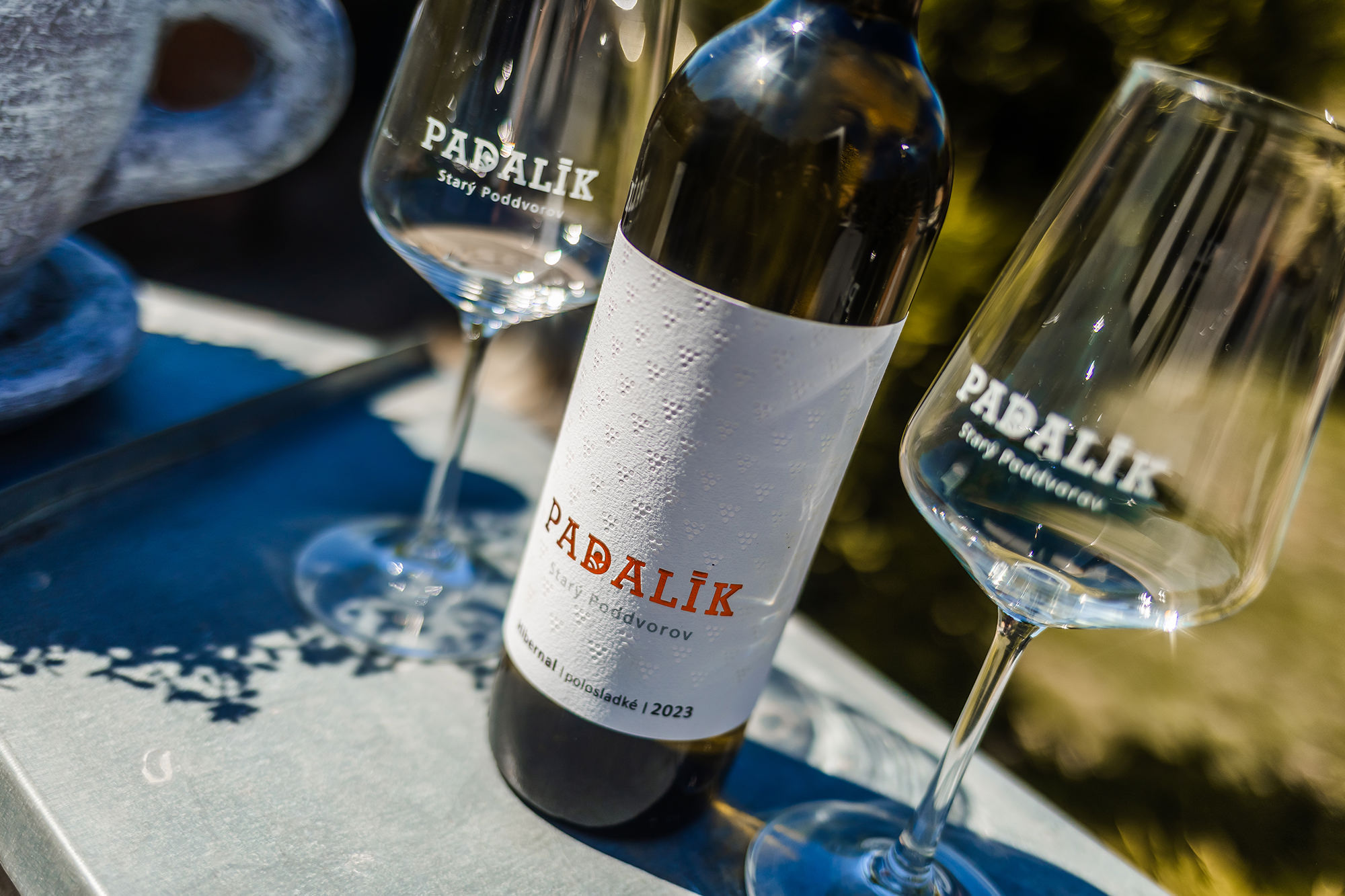 apartmany-a-vinarstvi-u-padaliku-035