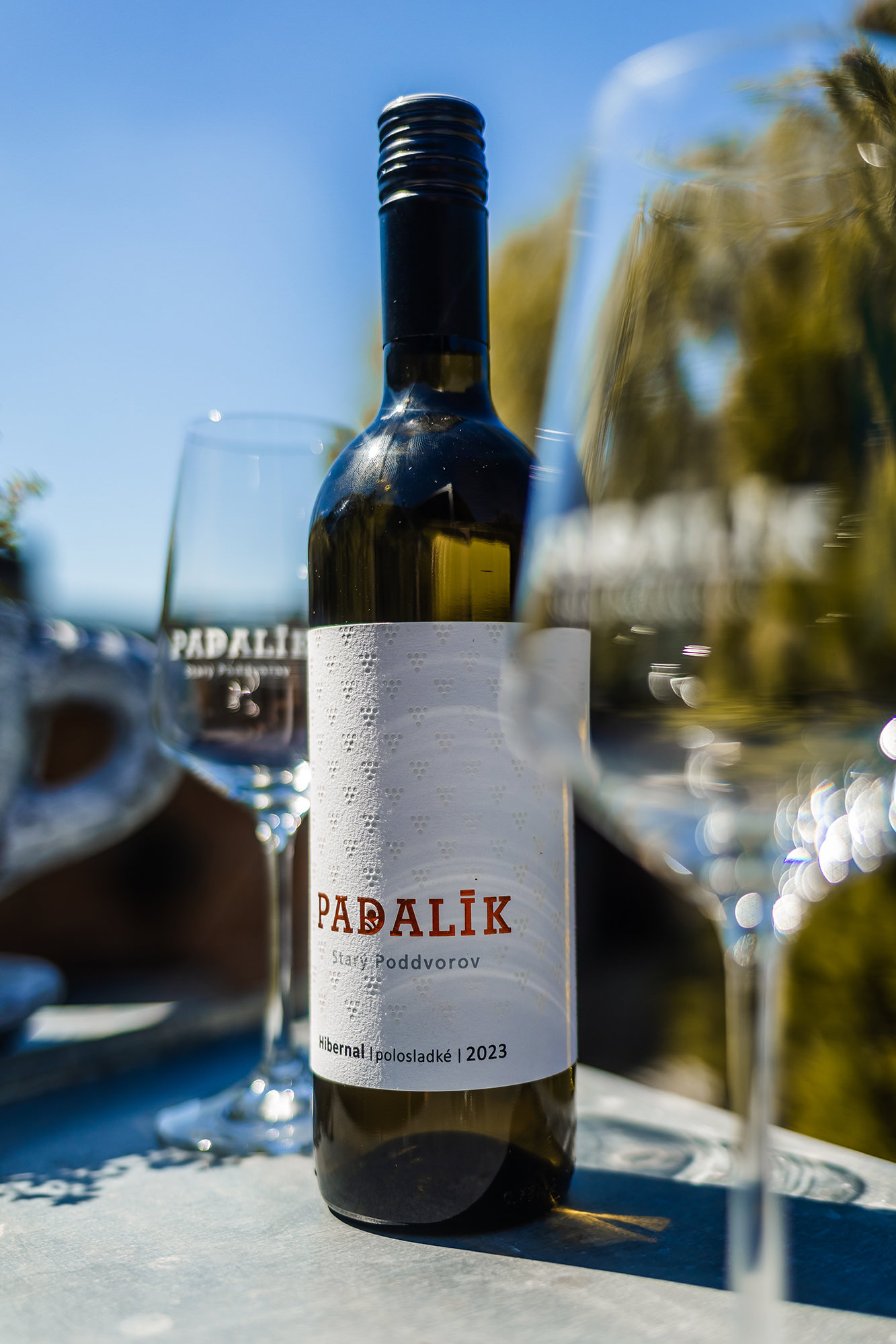 apartmany-a-vinarstvi-u-padaliku-036