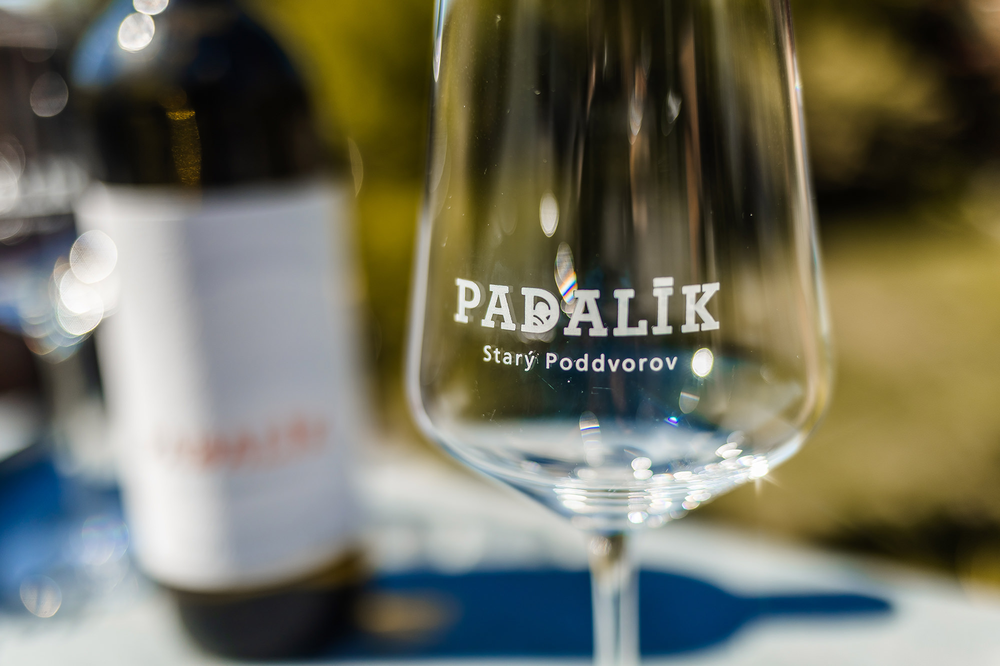 apartmany-a-vinarstvi-u-padaliku-037