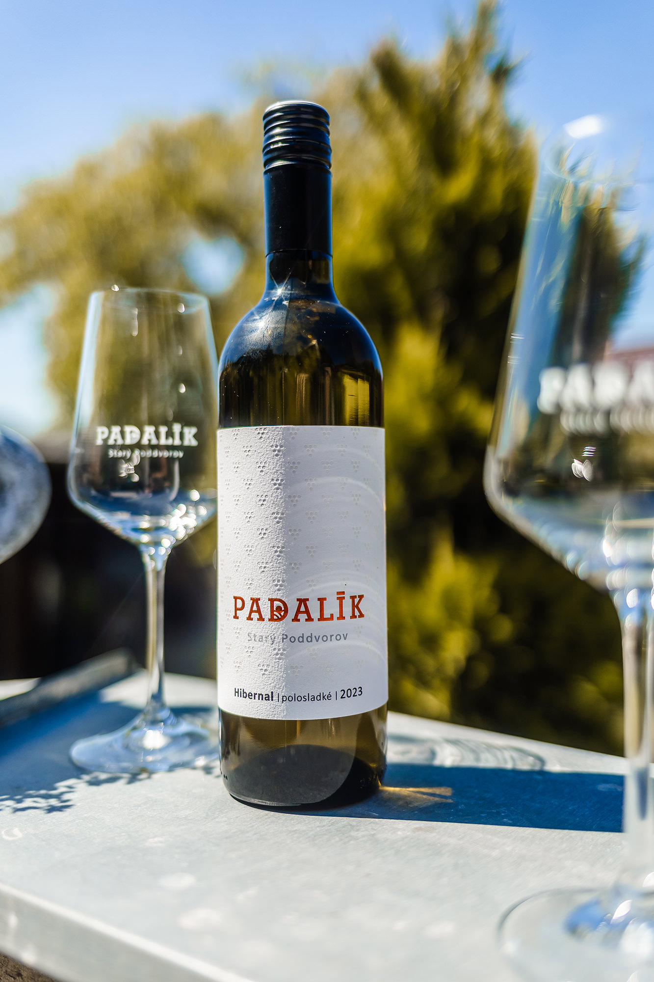 apartmany-a-vinarstvi-u-padaliku-038