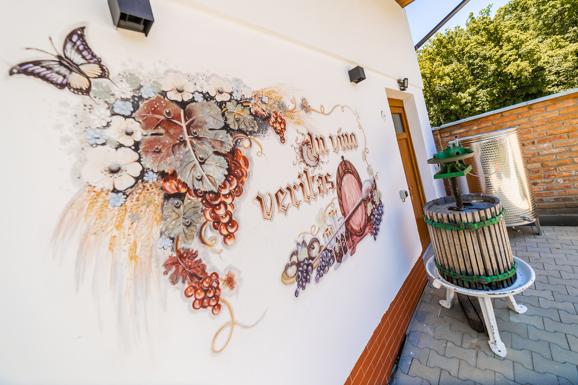 apartmany-a-vinarstvi-u-padaliku-044