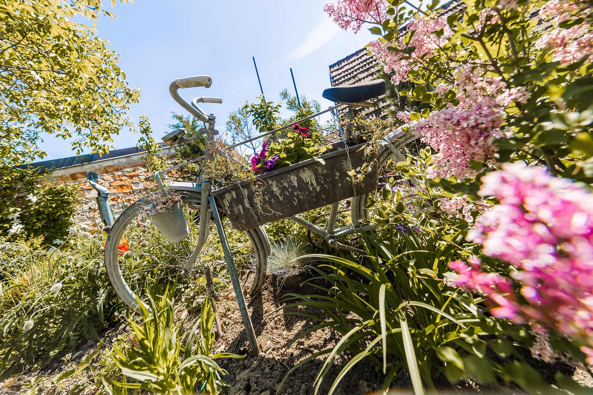 apartmany-a-vinarstvi-u-padaliku-046