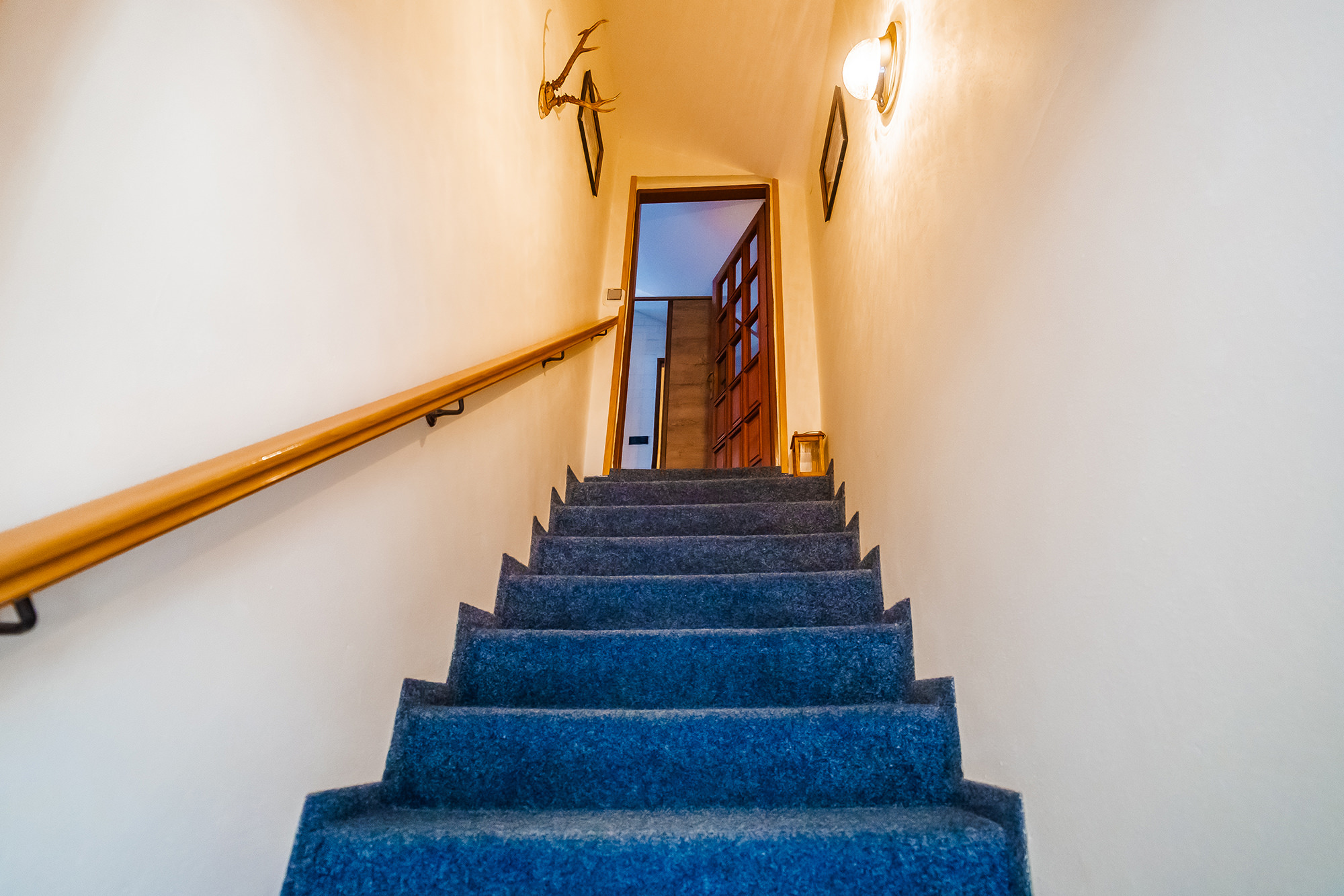 apartmany-a-vinarstvi-u-padaliku-051