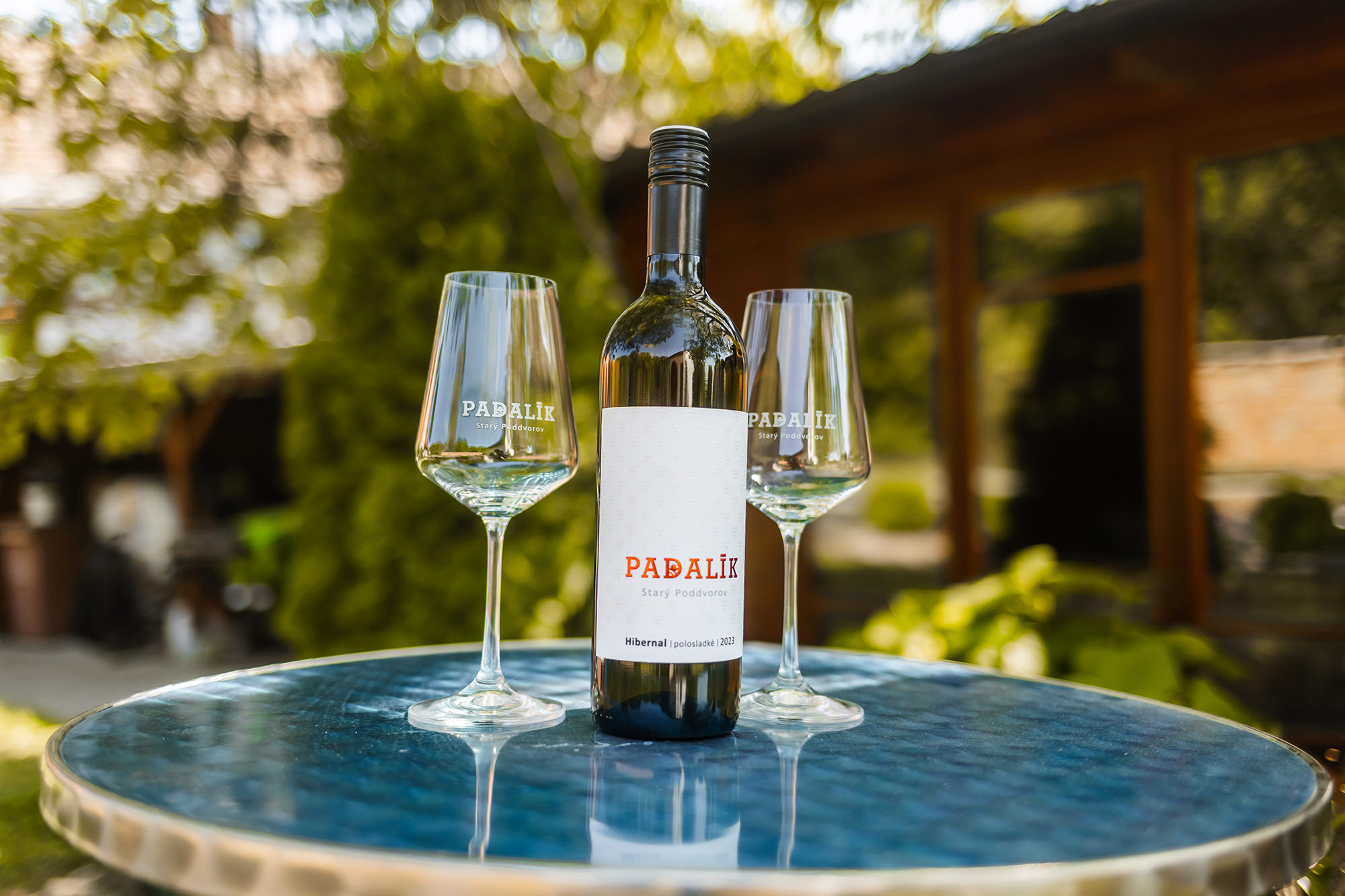 apartmany-a-vinarstvi-u-padaliku-063