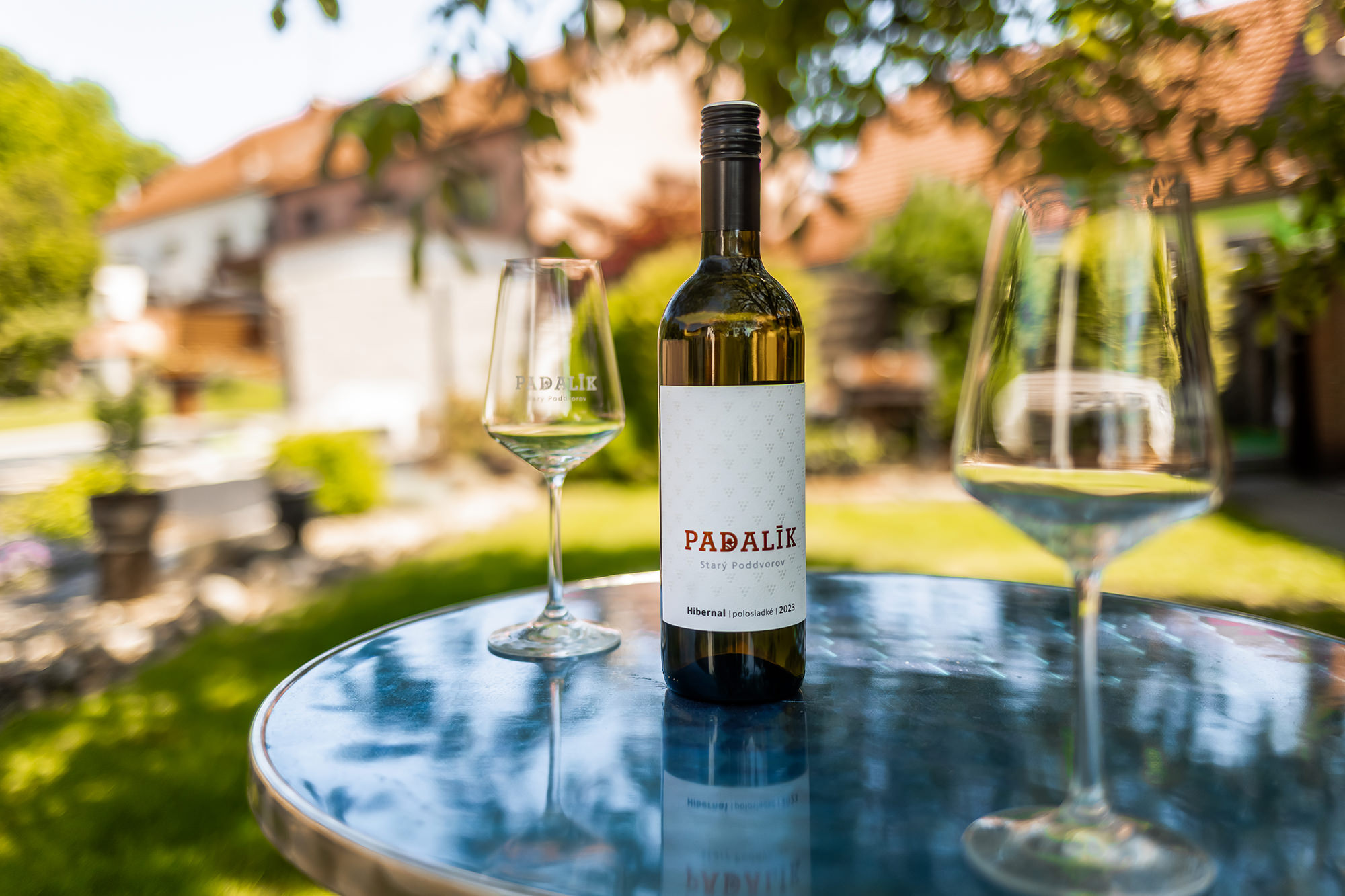 apartmany-a-vinarstvi-u-padaliku-064